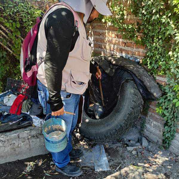 Lleva Salud Sonora a más de 17 mil viviendas acciones preventivas contra dengue y rickettsia